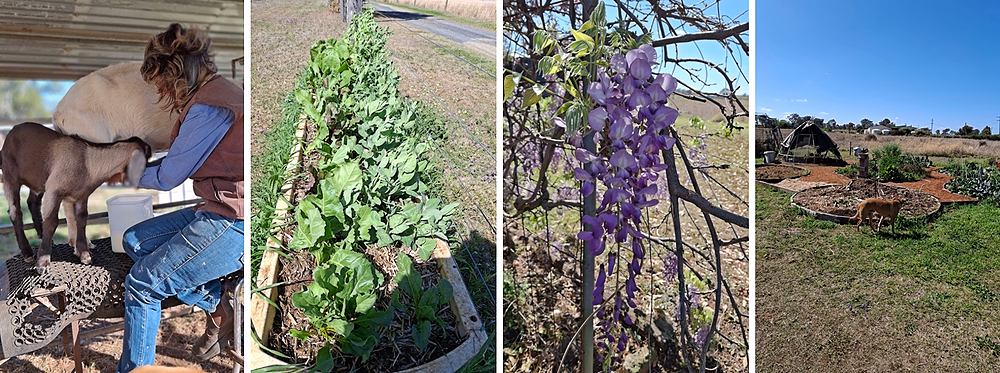 Wendy and Trevor's Garden