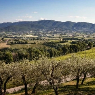 tourhub | Travel Editions | Umbrian Culinary Experience Tour 