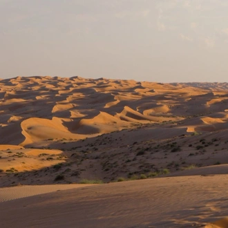 tourhub | Undiscovered Destinations | Oman - From the Desert to the Coast 