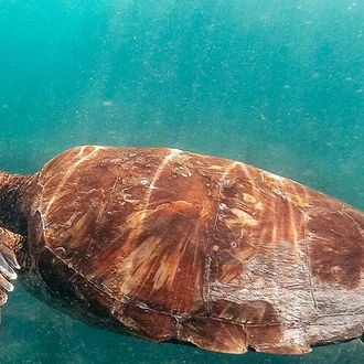 tourhub | Intrepid Travel | Galapagos Encounter: Central Islands (Grand Queen Beatriz) 