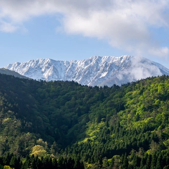 tourhub | SpiceRoads Cycling | Coastal Japan: San-in Explorer 