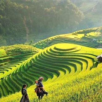 tourhub | Open Asia Travel | 2 Days 1 Night Sapa with Trekking - Overnight in Ethnic Homestay | Round-trip Sleeping Bus Transfers from Hanoi | Vietnam 