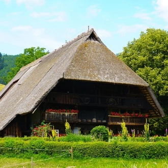 tourhub | Avalon Waterways | Romantic Rhine with 1 Night in Amsterdam, Mount Pilatus, 1 Night in Lucerne & 3 Nights in Lake Como (Southbound) (Panorama) 