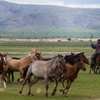 tourhub | Tour Mongolia | Essence of Mongolia - 3 Days 