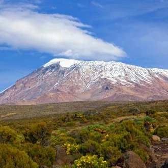 tourhub | On The Go Tours | Mt Kilimanjaro Climb - 8 days 