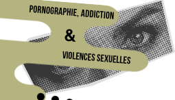 Représentation de la formation : Pornographie, Addiction & Violences sexuelles : Enjeux et spécificités de la prise en charge des mineurs et adultes victimes ou auteurs