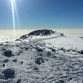 tourhub | Mbega African Safaris | 7 Days Kilimanjaro Climb Lemosho Route 