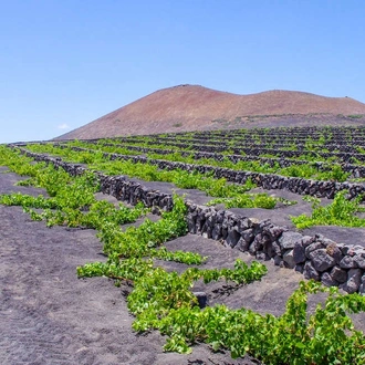 tourhub | Explore! | Canary Islands Walking - Lanzarote 