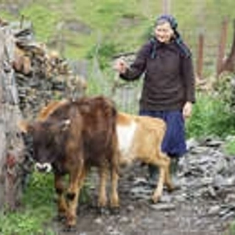 tourhub | Wild Frontiers | Walking in Georgia’s Caucasus Mountains: Kazbegi & Tusheti 