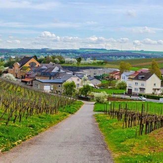 tourhub | Avalon Waterways | The Rhine & Moselle: Canals, Vineyards & Castles with 1 Night in Amsterdam & 2 Nights in Paris (Imagery II) 