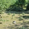 General view 2, Ancient cemetery, Gulgat, Azerbaijan, 2019. Photo courtesy Arieh/ Moreshet Adventures.