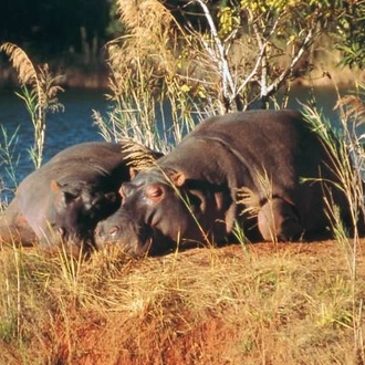 tourhub | World Expeditions | Best of Uganda 