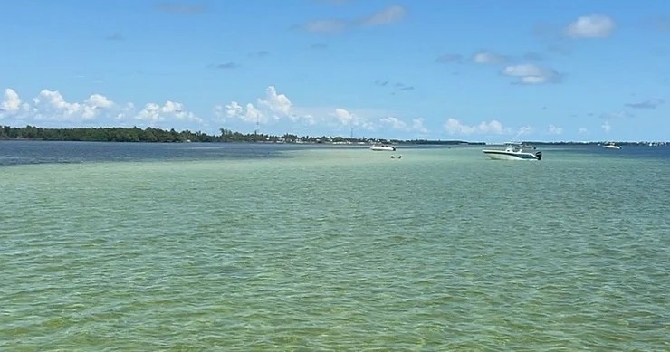 Sandbar/Eco Tour