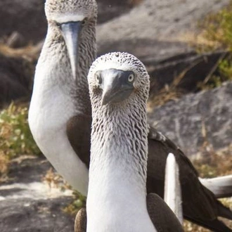 tourhub | On The Go Tours | Highlights of the Galapagos - 14 days 