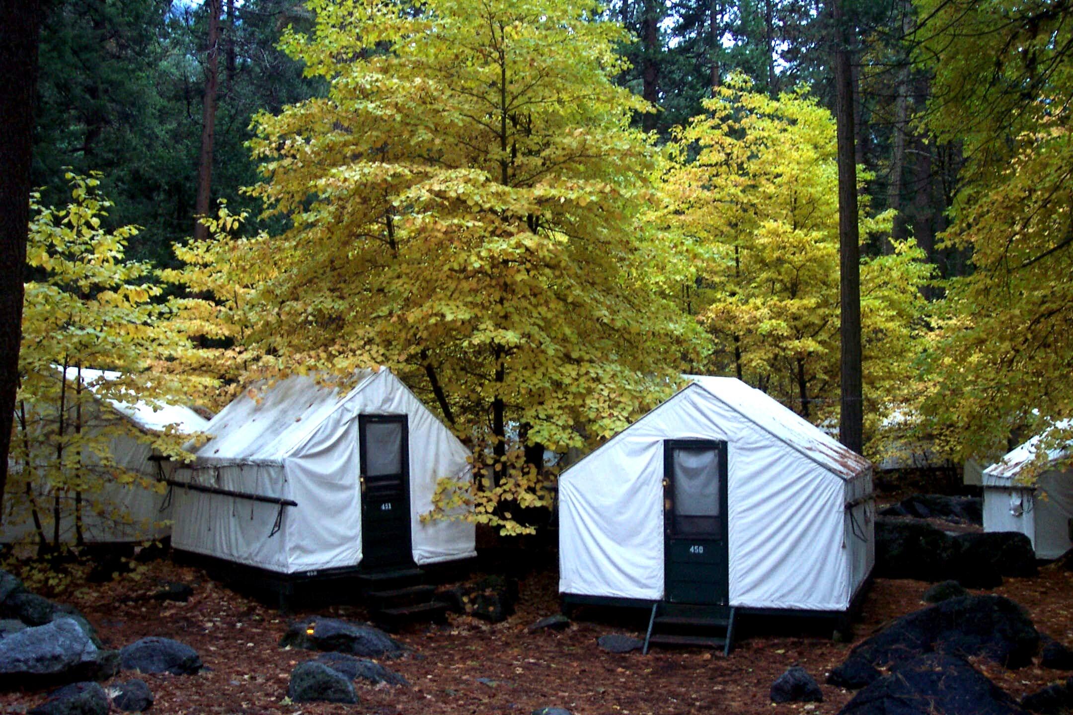 2-Day Yosemite Winter Independent Overnight Tour from San Francisco | Stay at Curry Village Tent Cabin