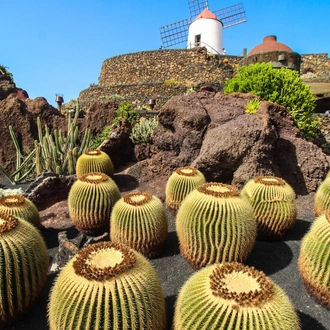 tourhub | Brightwater Holidays | Glorious Gardens of the Canary Islands 715 