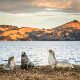 tourhub | Heritage Expeditions | New Zealand Coastal Odyssey 