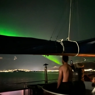 tourhub | World Sea Explorers AS | Whale Watching, Northern Lights & Sledding from Tromso 