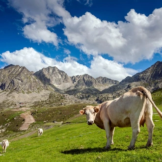 tourhub | Exodus Adventure Travels | Walking the Rugged Pyrenees of Andorra 