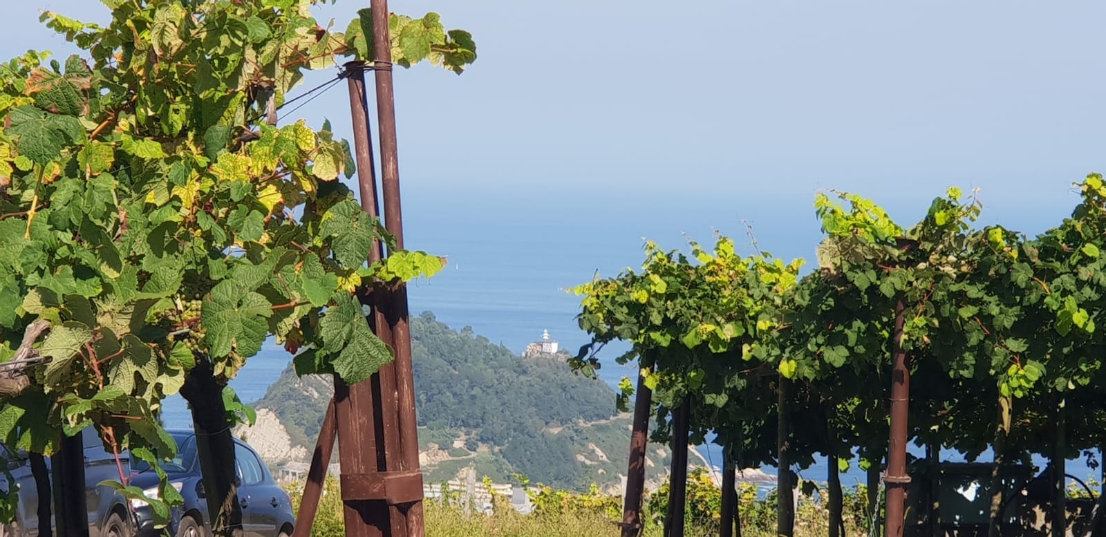Txakoli Wine Tour in Getaria from San Sebastián in Semi-Private with Pick-up - Alloggi in San Sebastian