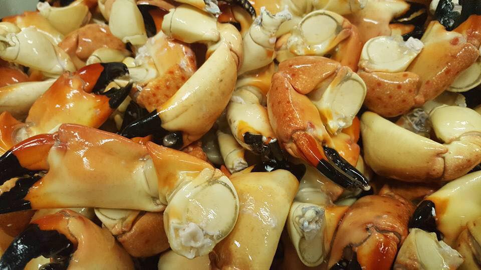 Stone Crab