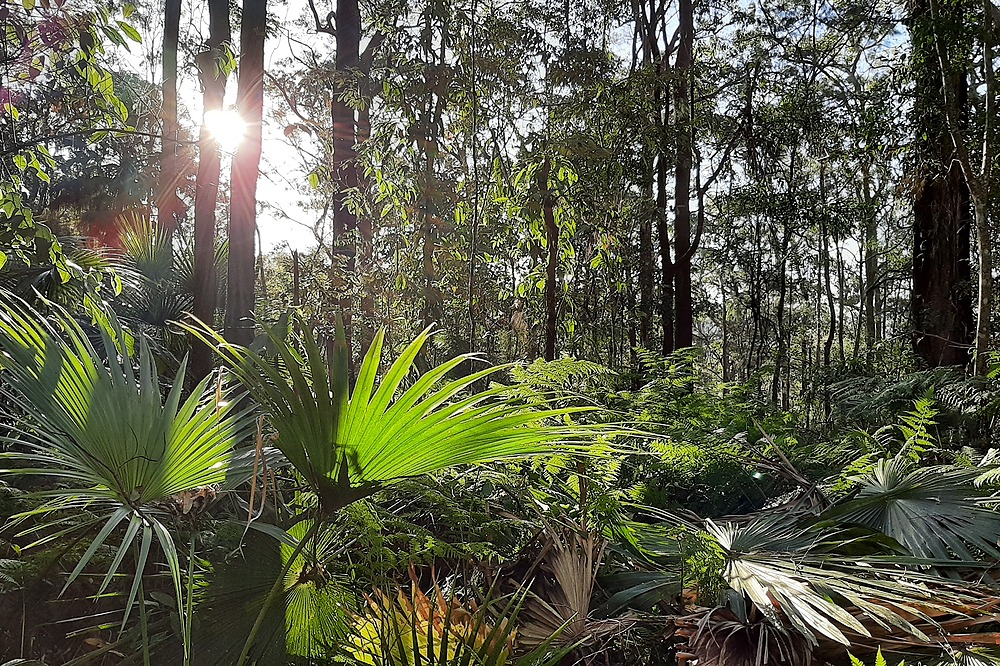 Foote Sanctuary in the afternoon