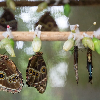 tourhub | G Adventures | Basic Costa Rica: Coastlines & Cloud Forests 