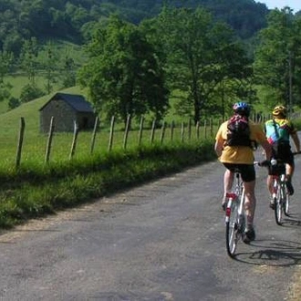 tourhub | UTracks | Bordeaux Vineyard Cycle 