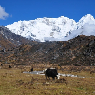 tourhub | Mount Adventure Holidays | Kanchenjunga  Trek-North to South 