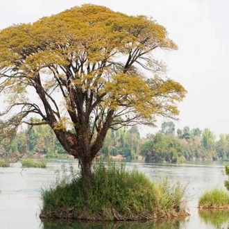 tourhub | On The Go Tours | Beautiful Laos - 8 days 