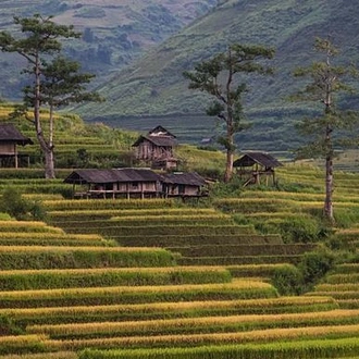 tourhub | G Adventures | Classic Vietnam: Sapa to Ho Chi Minh 