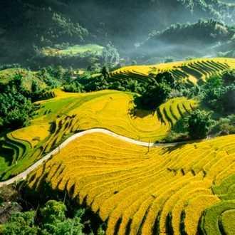 tourhub | CONNEK TRIP | SMALL GROUP HANOI – SAPA – CAT CAT  – FANSIPAN PEAK (2D1N) 