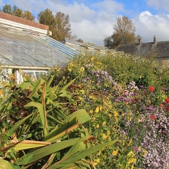 tourhub | Travel Editions | Gardens Of Somerset And Dorset Gardeners World Exclusive 