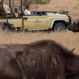 tourhub | On The Go Tours | Kruger Safari & Victoria Falls - 8 days 