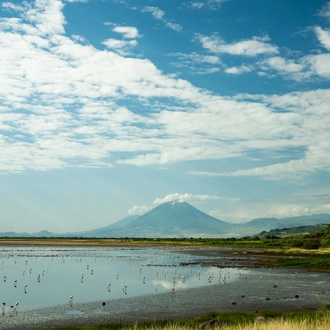 tourhub | Beach and Safari Holidays | Tanzania's Photographic Safari: Capturing Wildlife Wonders 