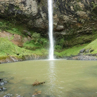 tourhub | G Adventures | New Zealand: Best of the North Island 