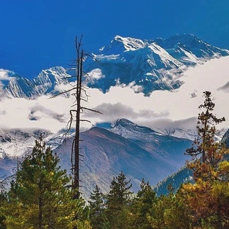 tourhub | Sherpa Expedition & Trekking | Annapurna Circuit Trek 13 Days 