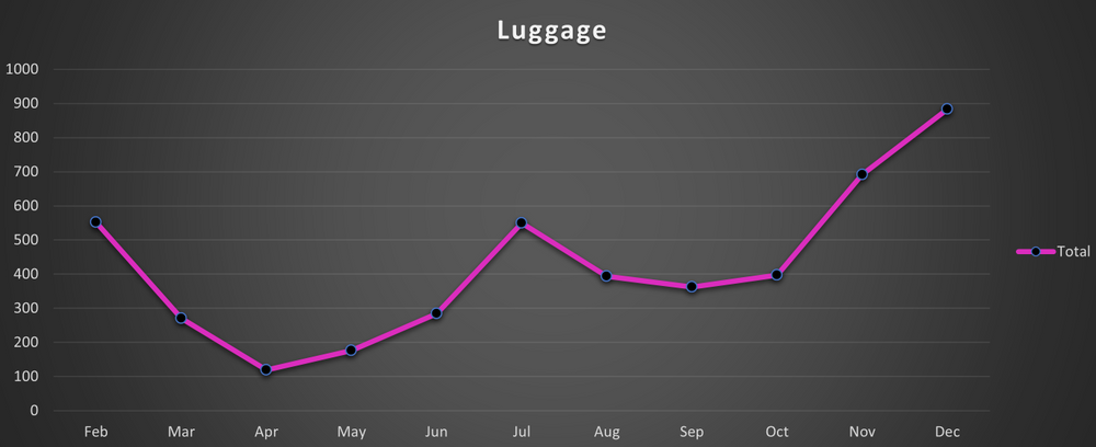 Searches for luggage