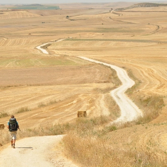 tourhub | Exodus Adventure Travels | Camino de Santiago Trek 