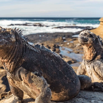 tourhub | Exodus Adventure Travels | Island Hopping in the Galapagos (2024) 