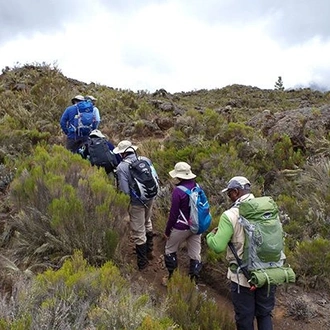 tourhub | Alaitol Safari |  12-Days Grand Traverse - Kilimanjaro Climb      