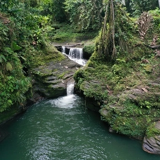 tourhub | Ecuador Galapagos Travels | 4-Day Amazon Tena Lodge 