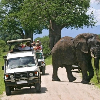 tourhub | Gracepatt Ecotours Kenya | Aberdares National Park Luxury Lodge Safari 2days 1 Night Tour 