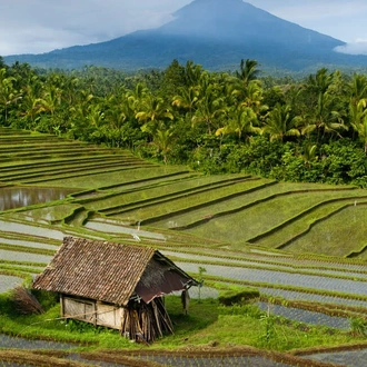 tourhub | Explore! | Discover Bali, Flores and Komodo Islands 