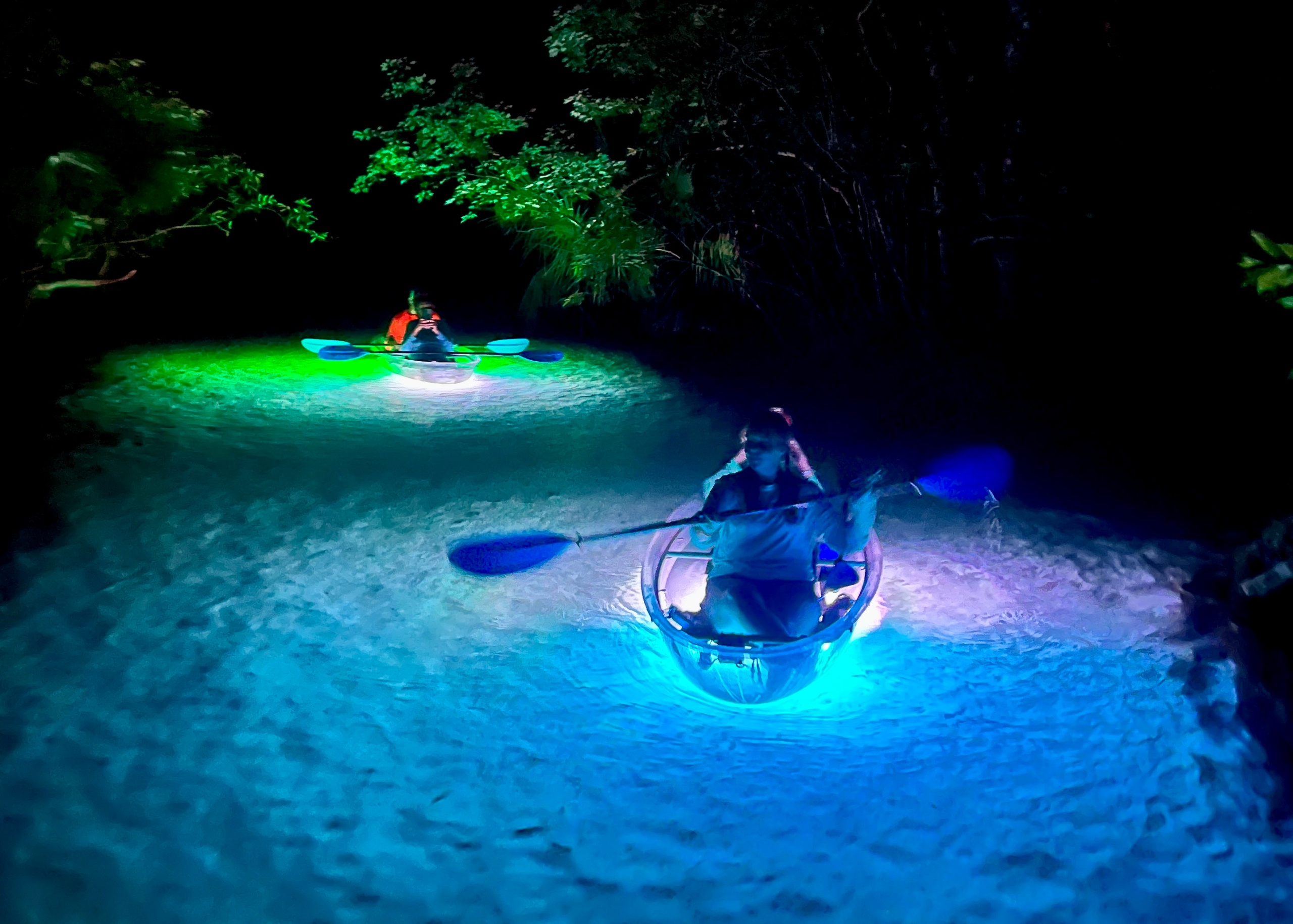 Rainbow Springs Clear Kayak Sunset & Glow Tour