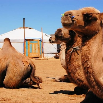 tourhub | Sundowners Overland | Gobi Desert Explorer 