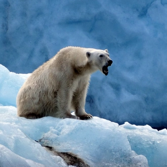 tourhub | Exodus Adventure Travels | Spitsbergen Explorer: Best of High Arctic Norway (2025) 