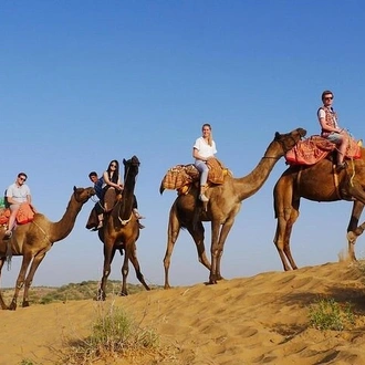 tourhub | Jee Tours | 10-Day Jodhpur, Jaisalmer, Bikaner, Jaipur & Agra Tour with Mandawa Town. 