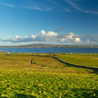 tourhub | Brightwater Holidays | Gardens and Wildflowers of the Burren 5924 