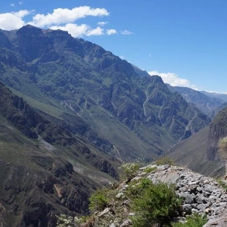 tourhub | Tangol Tours | 3-day Colca Canyon Trek Adventure - Shared Room 